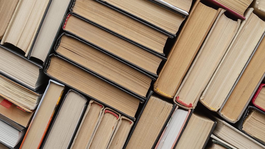 Estudiantes de Licenciatura en Pedagogía